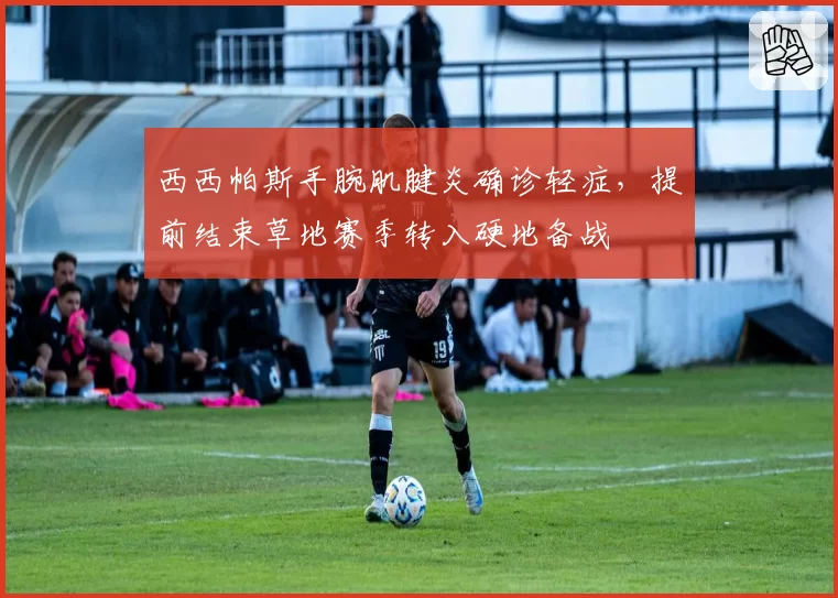 西西帕斯手腕肌腱炎确诊轻症，提前结束草地赛季转入硬地备战