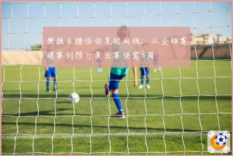 樊振东腰伤恢复时间线：从全锦赛退赛到预计复出赛场需8周