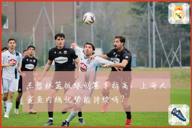 王哲林篮板球创赛季新高，上海大鲨鱼内线优势能持续吗？