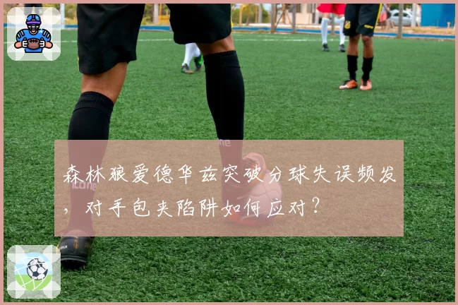 森林狼爱德华兹突破分球失误频发，对手包夹陷阱如何应对？